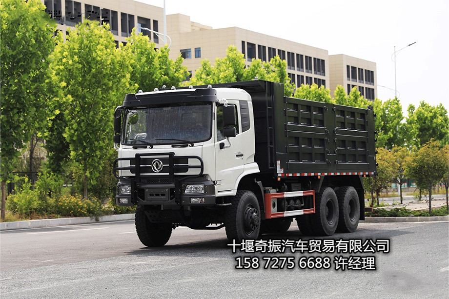 后双胎六驱越野重型卡车  全驱六驱越野中型载货汽车