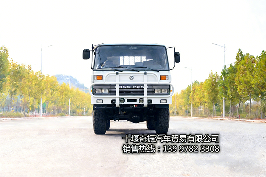 生成图片（车变白） (16).png