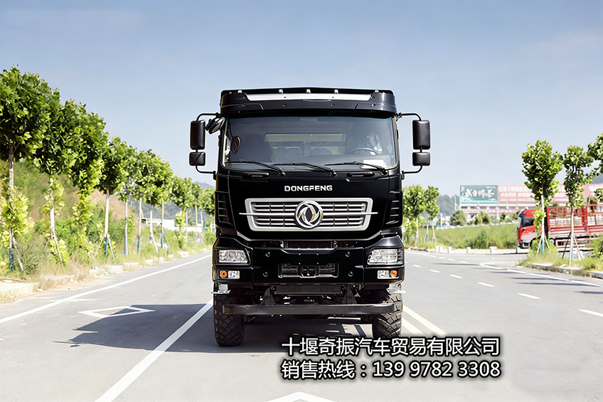 大力神340马力六驱单胎高栏货车 颜色可定制